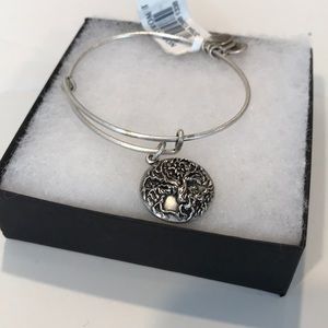 Alex and Ani bracelet